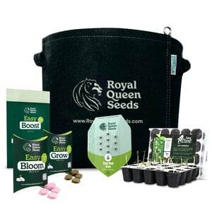 Začátečnický Konopný Grow Kit