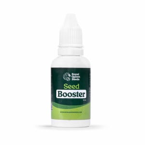 Konopný Seed Booster