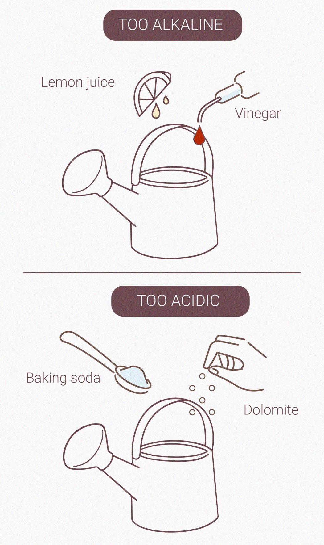 Co je to pH a Jak Ovlivňuje Konopné Rostliny Co je to pH a Jak Ovlivňuje Konopné Rostliny