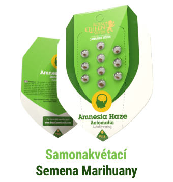 Samonakvetaci semena konopi