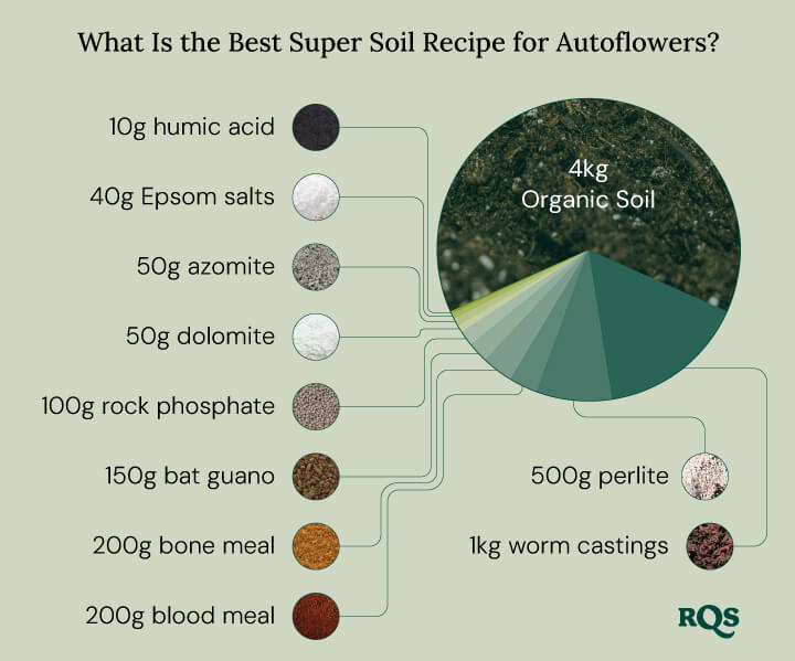 Autoflowering cannabis recipe Autoflowering cannabis recipe