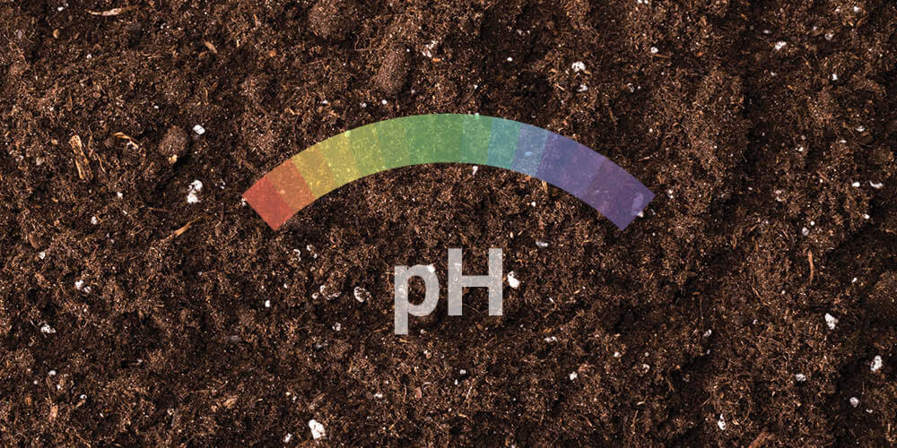 Hodnota pH Hodnota pH