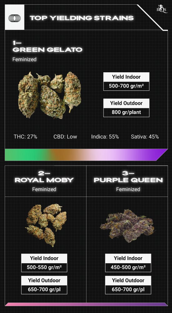 Top RQS Fast-Flowering Strains