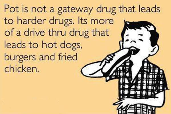 Cannabis is not a gateway drug Cannabis is not a gateway drug