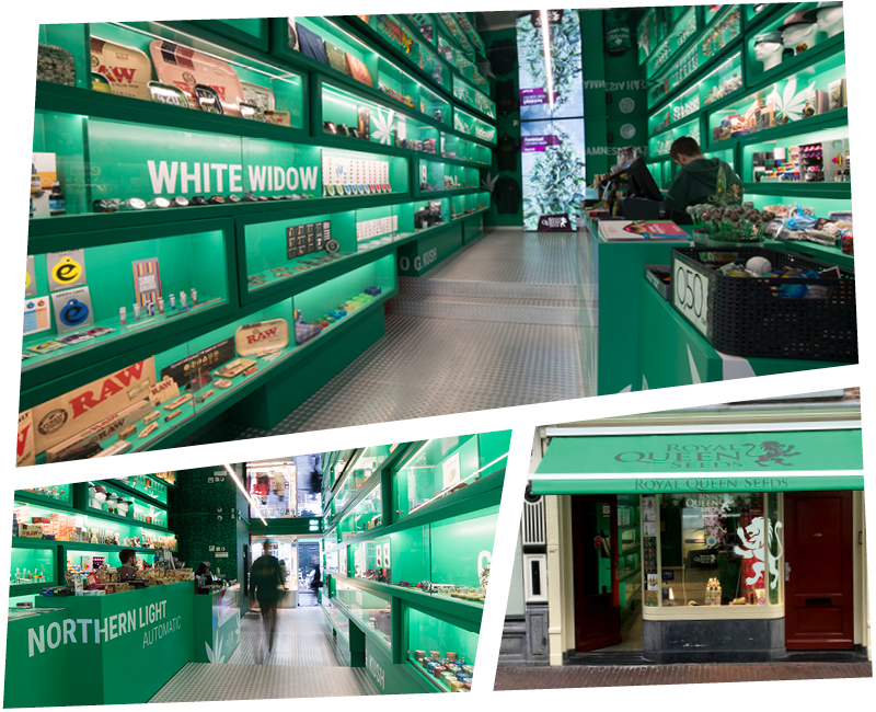 BrandStores Amsterdam_Haarlemmerstraat