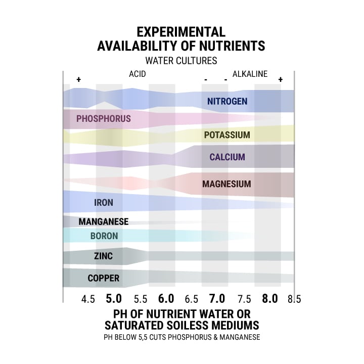 How PH Affects Plant Nutrient Uptake