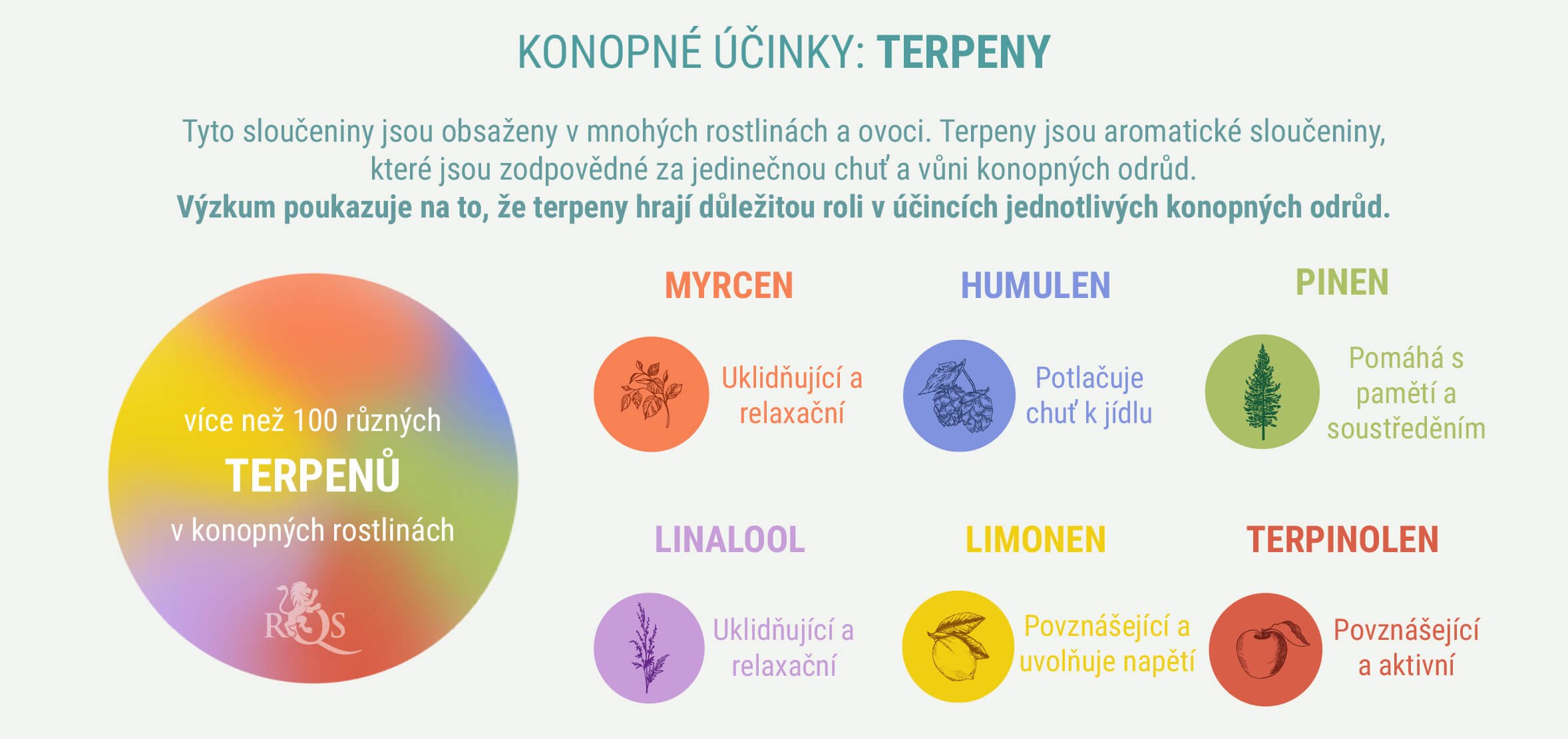 SMĚSI INDIKY A SATIVY NA OBJEDNÁVKU SMĚSI INDIKY A SATIVY NA OBJEDNÁVKU