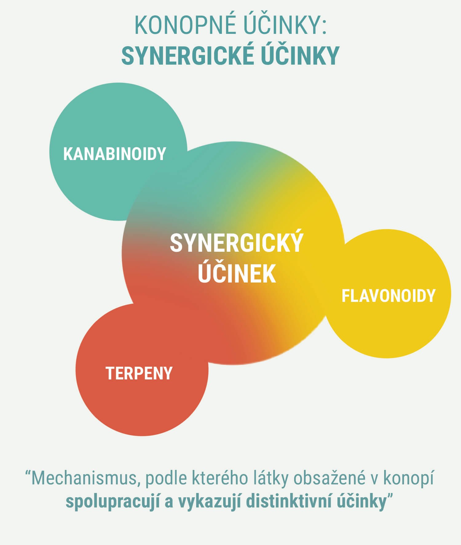 MAJÍ INDIKY A SATIVY ODLIŠNÉ ÚČINKY? MAJÍ INDIKY A SATIVY ODLIŠNÉ ÚČINKY?