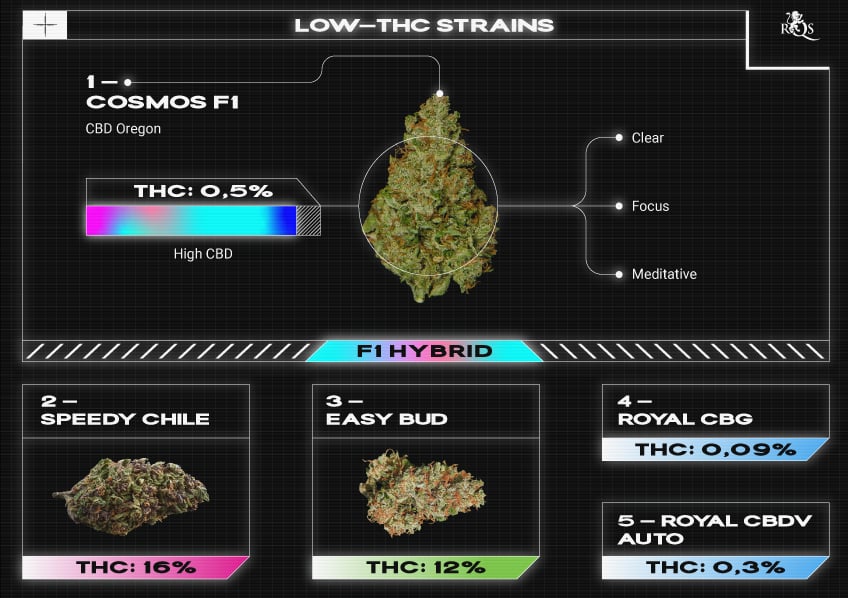 Top RQS High THC Strains