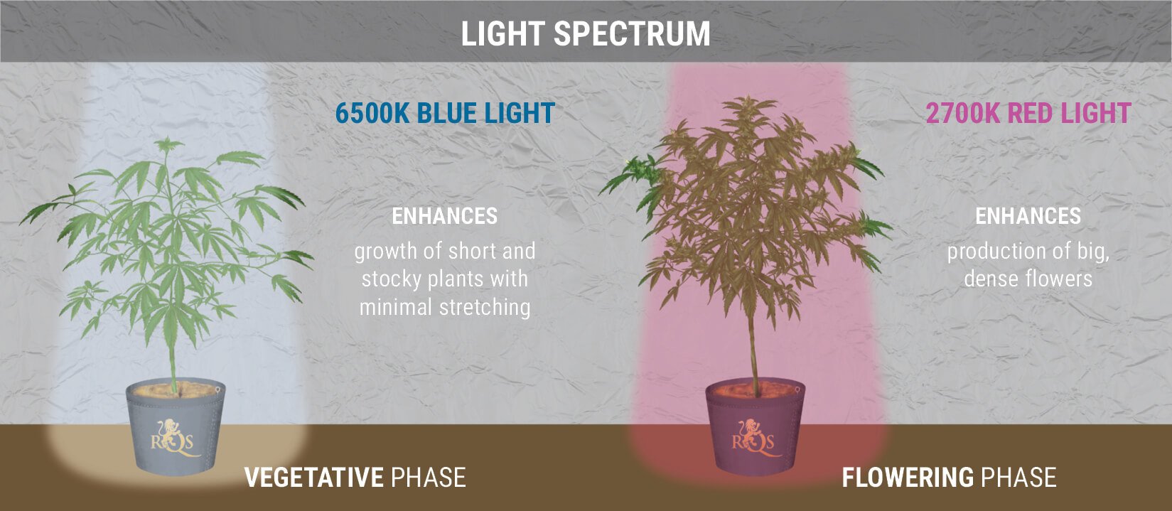 A NOTE ON LIGHT SPECTRUM