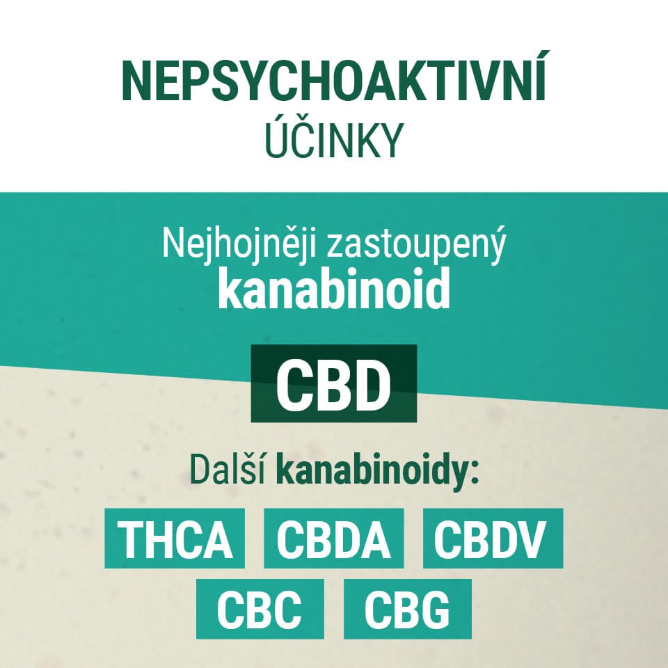 Nepsychoaktivní Účinky Kanabinoid CBD