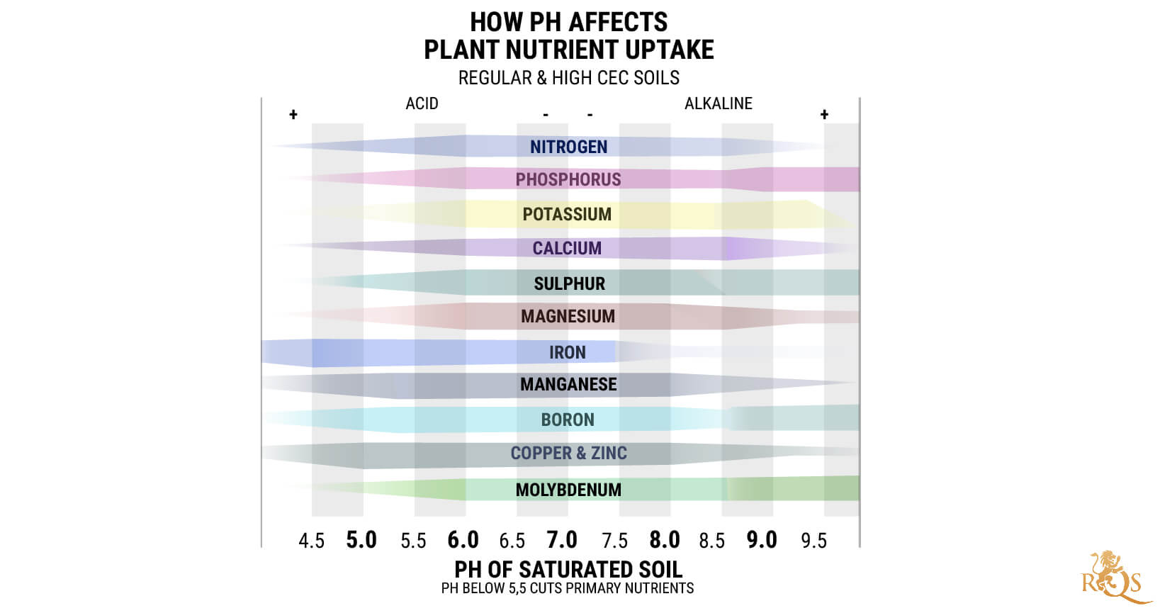 The Best pH for Growing Cannabis