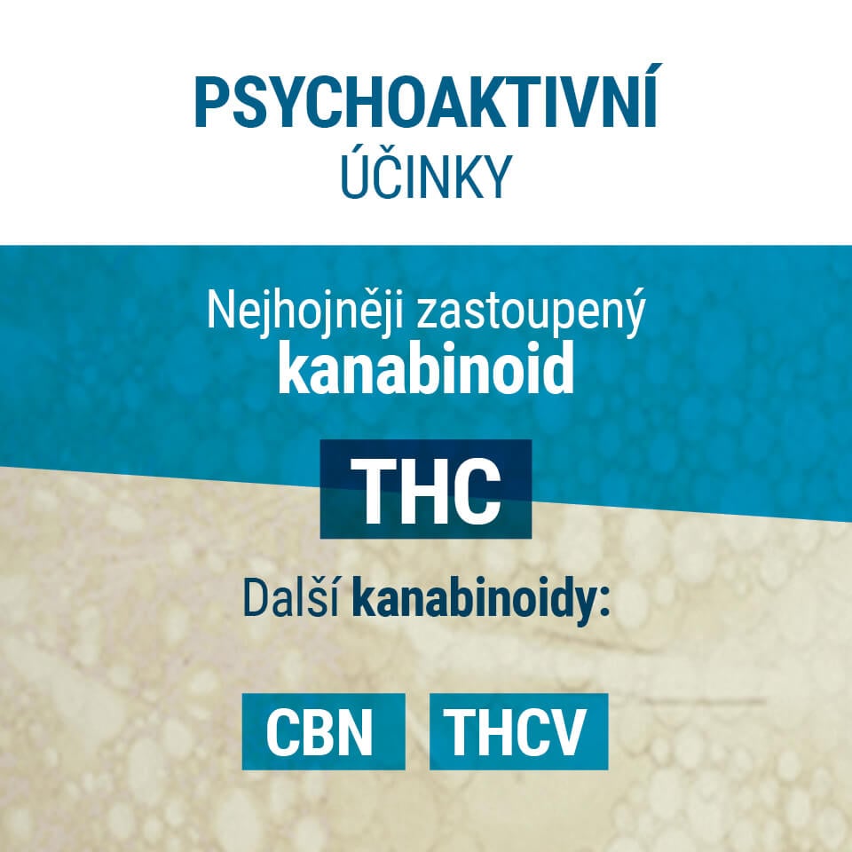 Psychiaktivní Účinky THC