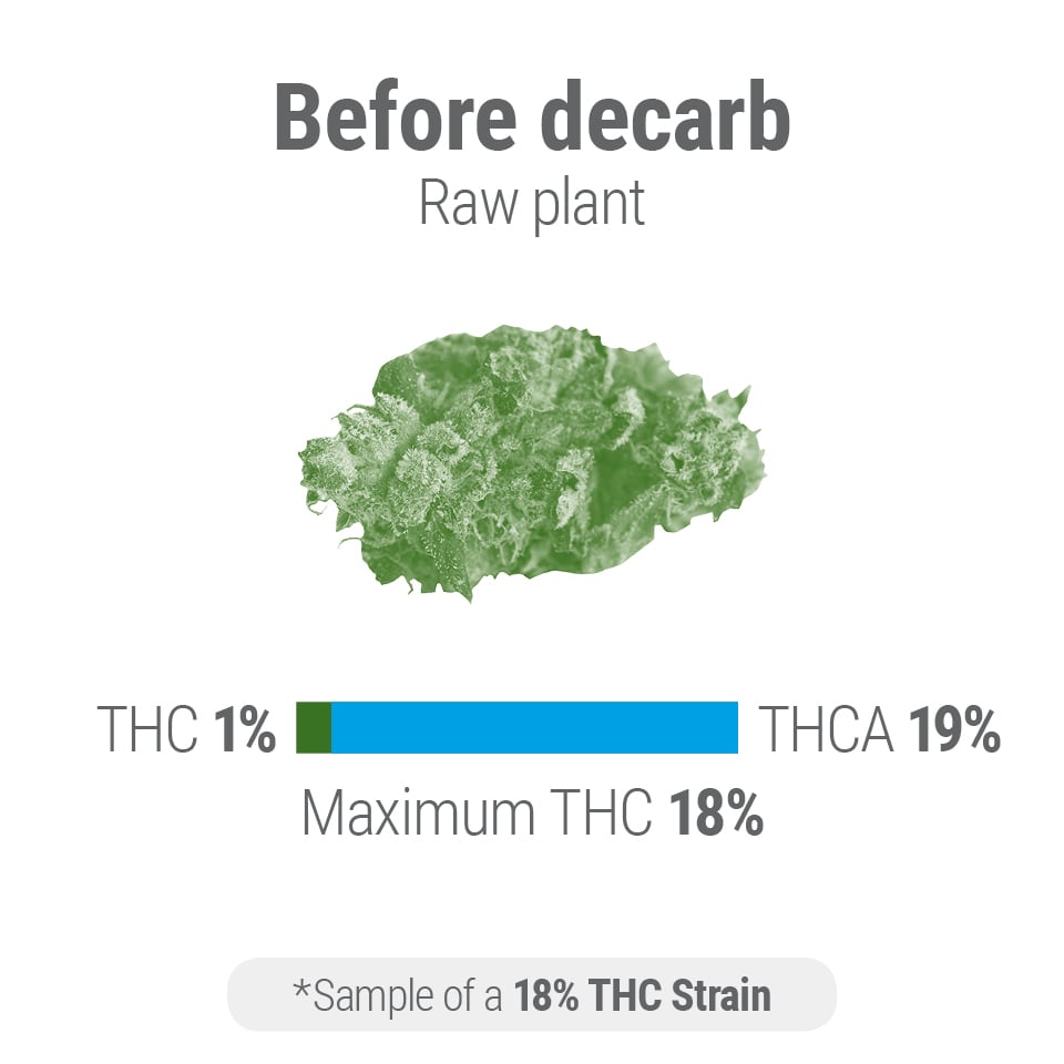 At What Temperature Does Decarboxylation Occur?
