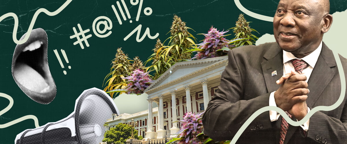 Cannabis Legalization South Africa: Updates and Political Discussions South Africa and cannabis legalization: This image depicts President Ramaphosa, parliament, and marijuana plants, hinting at the ongoing debate and potential legalization of cannabis in South Africa.