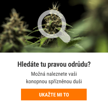 Cannabis Seedfinder