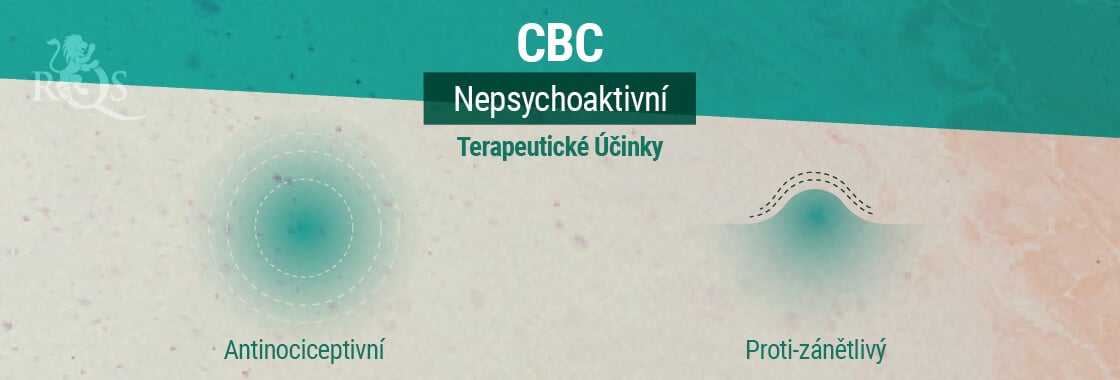 Terapeutické Účinky CBC