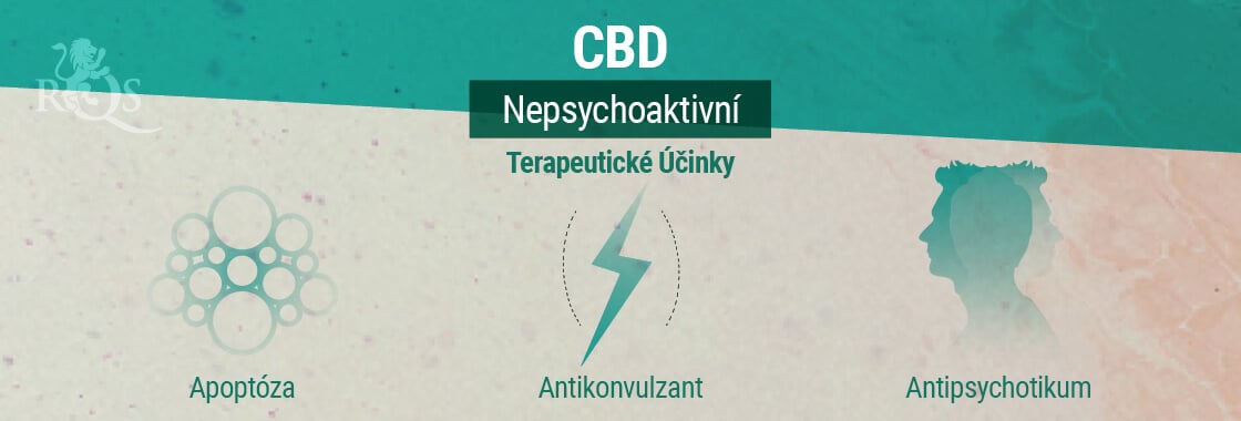 Terapeutické Účinky CBD