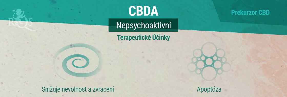 Terapeutické Účinky CBDA