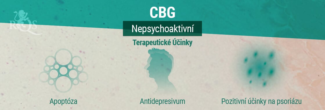 Terapeutické Účinky CBG