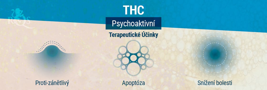 Terapeutické Účinky THC