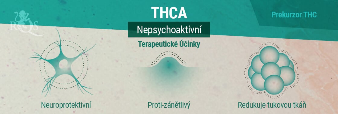 Terapeutické Účinky THCA