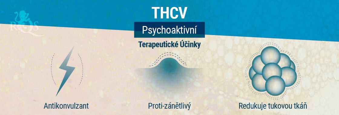 Terapeutické Účinky THCV