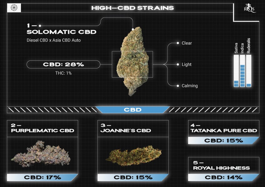 Top RQS Low THC Strains