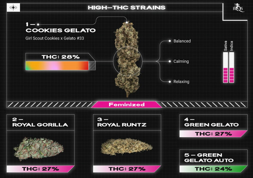 Top RQS Low Smell Strains