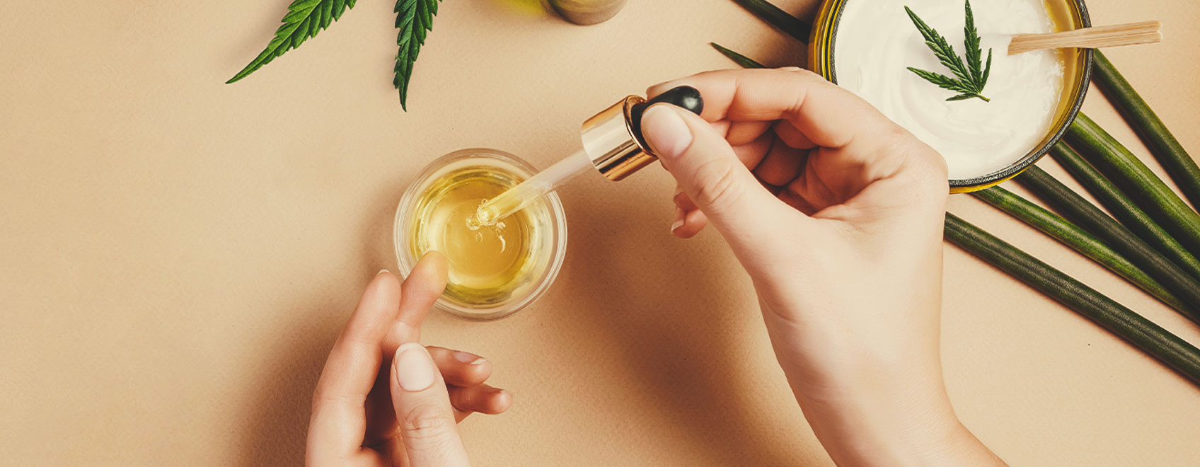 Jak Vyrobit CBD Olej Ze Semínek Lékařského Konopí Jak Vyrobit CBD Olej Ze Semínek Lékařského Konopí