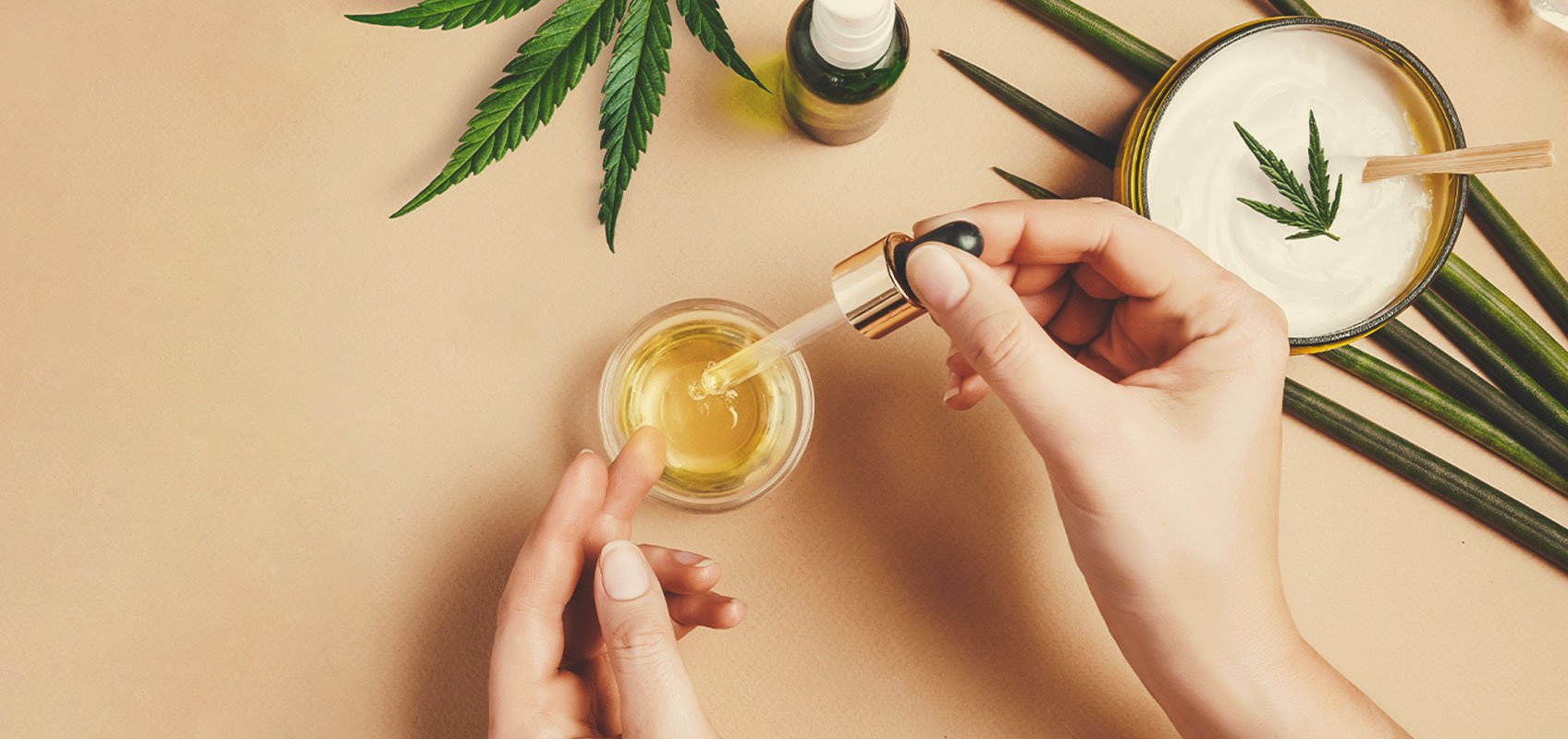 Jak Vyrobit CBD Olej Ze Semínek Lékařského Konopí Jak Vyrobit CBD Olej Ze Semínek Lékařského Konopí