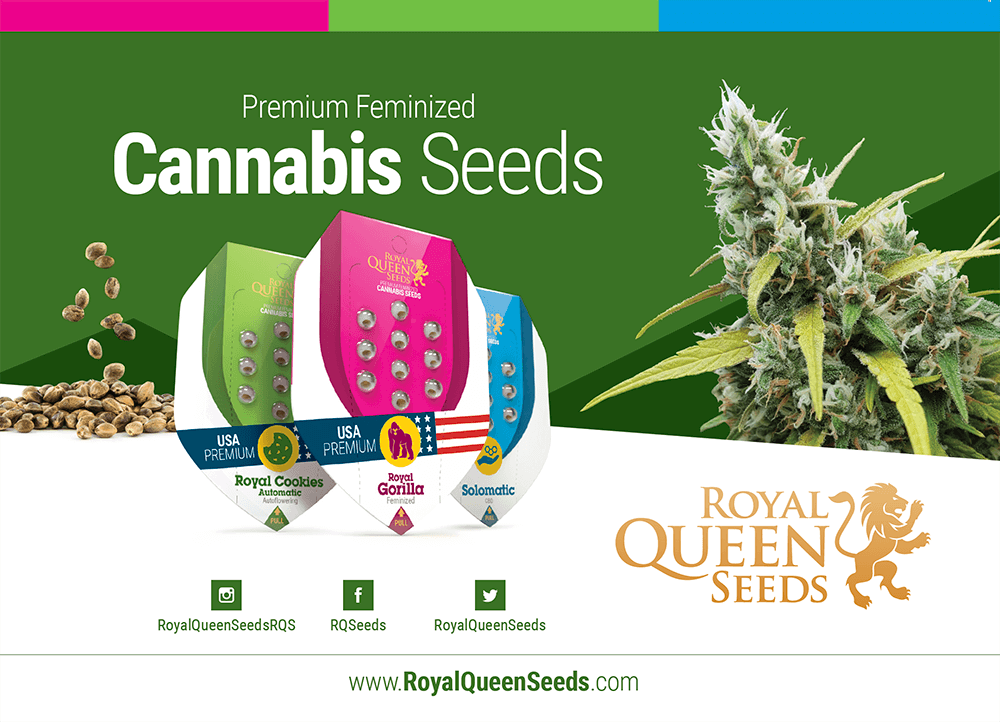 Download Catalogue in PDF Cannabis Seed Catalogue