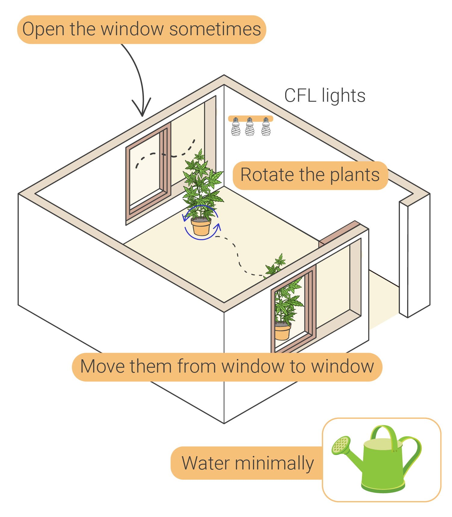 How to Grow Weed Indoors Without Lights How to Grow Weed Indoors Without Lights