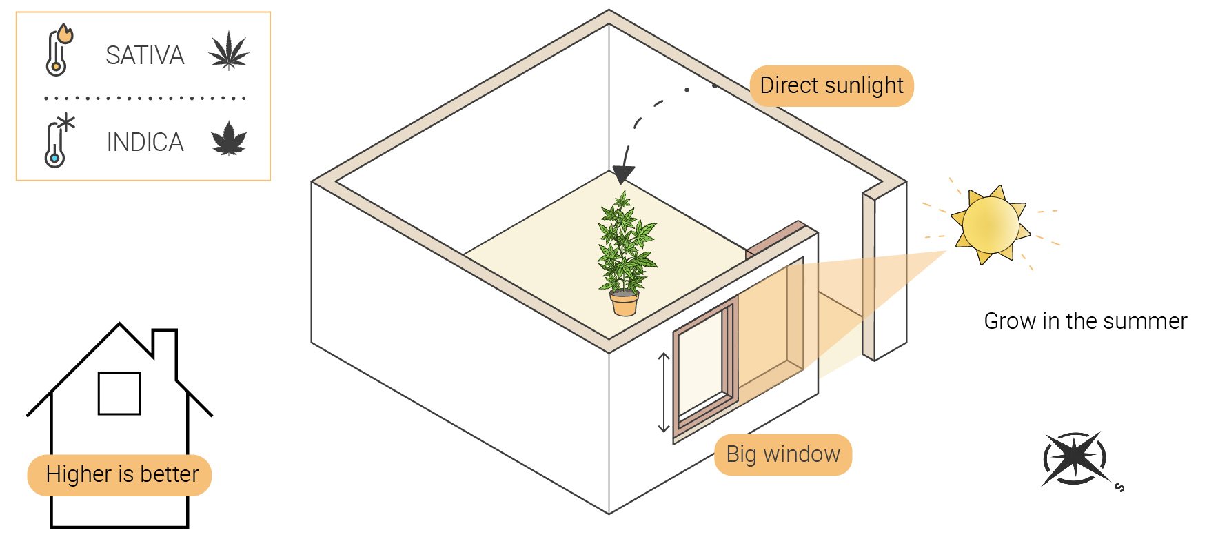 How to Grow Weed Indoors Without Lights How to Grow Weed Indoors Without Lights