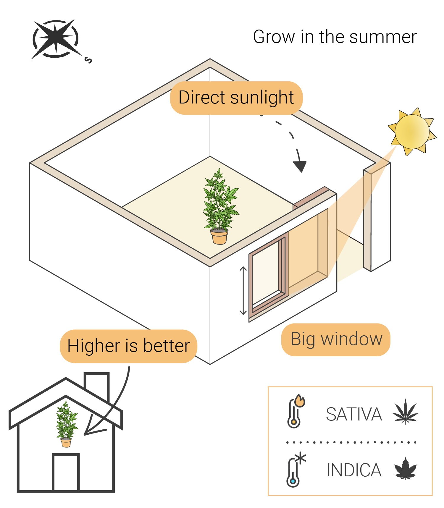 How to Grow Weed Indoors Without Lights How to Grow Weed Indoors Without Lights