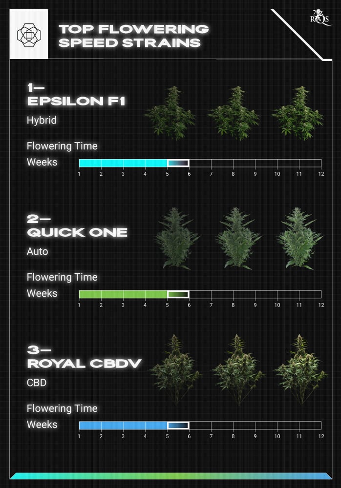 Top RQS Tall Plants