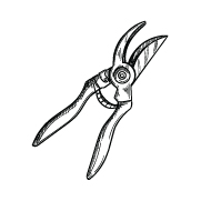 Pruning Scissors