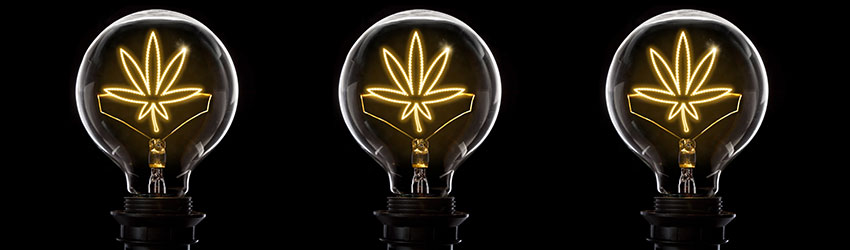 Cannabis Lighting