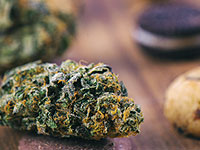 Cannabis Appetite Stimulant