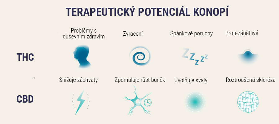 Semena pro léčebné účely Semena pro léčebné účely