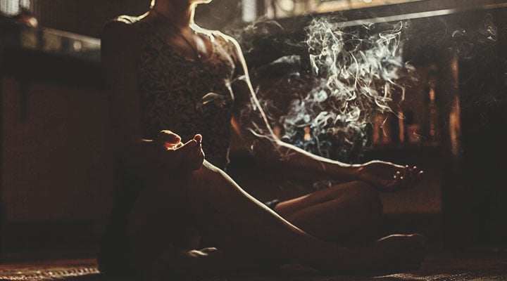 Chuť a Účinky Konopných Odrůd: Průvodce Chuť a Účinky Konopných Odrůd: Průvodce