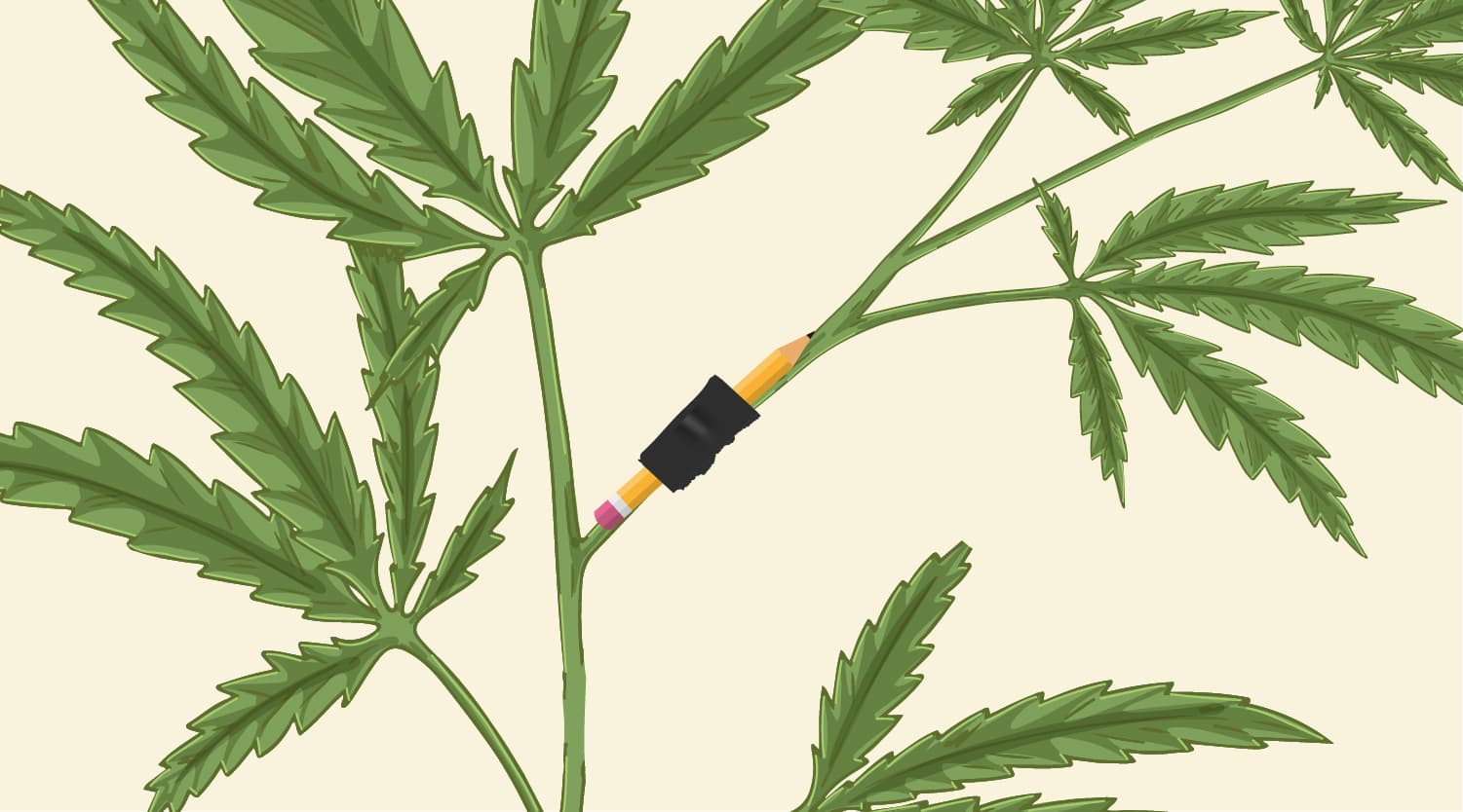 How Can You Fix Broken or Detached Stems? How Can You Fix Broken or Detached Stems?