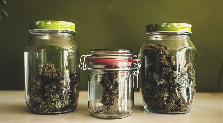 VÝHODY SPOLEČNÉHO UŽÍVÁNÍ CBD A THC VÝHODY SPOLEČNÉHO UŽÍVÁNÍ CBD A THC