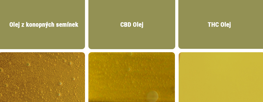 CBD olej vs. další typy olejů
