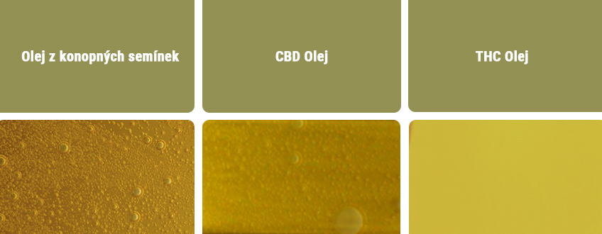 CBD olej vs. další typy olejů CBD olej vs. další typy olejů