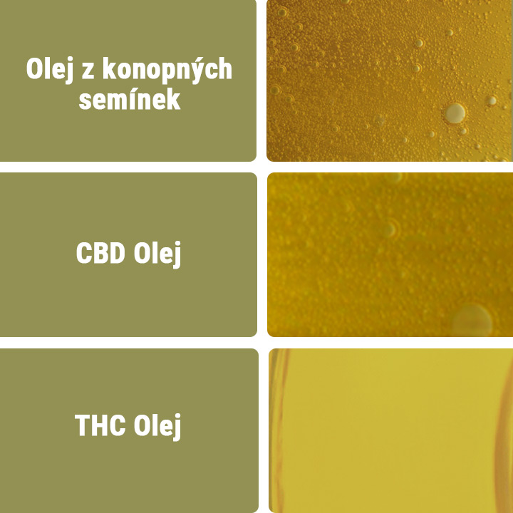 CBD olej vs. další typy olejů