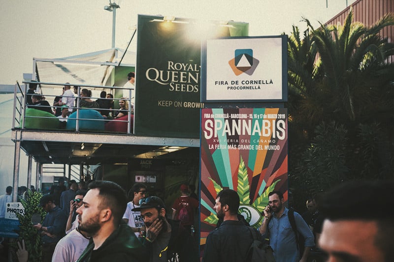 Spannabis 2019: Royal Queen Seeds vyhrálo cenu za Nejlepší Seedbanku!