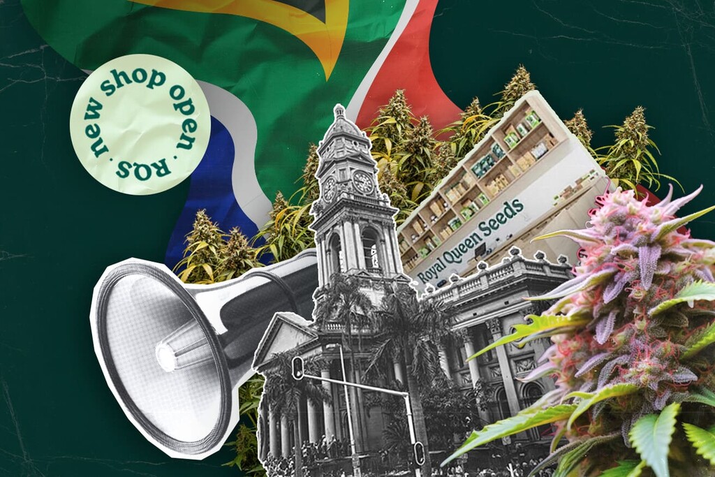 Royal Queen Seeds otevírá první kamenný obchod v Durbanu! Přinášíme tak prémiová konopná semínka do Jižní Afriky 