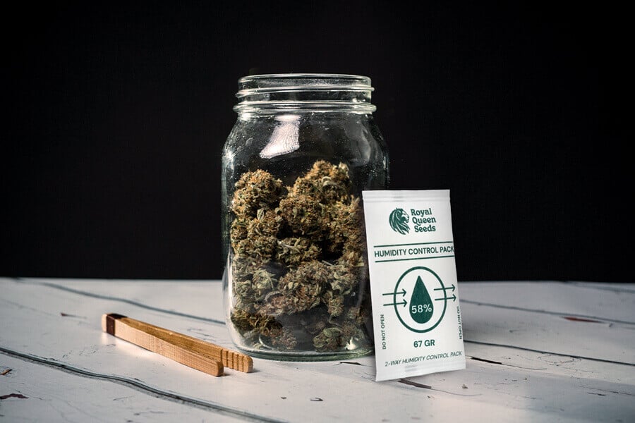 Jak se vyhnout plísni během sušení a zrání konopí