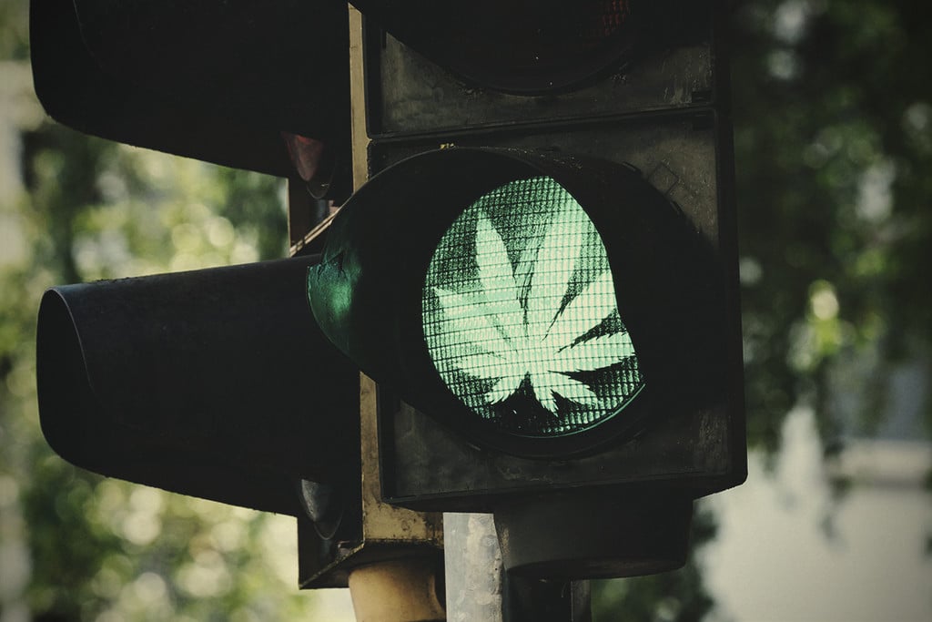 10 Důvodů Proč By Konopí Mělo Být Legální Na Celém Světě